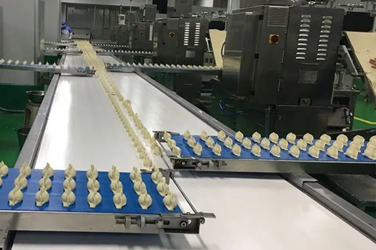 Industrial frozen dumpling production area with formed pieces on conveyors