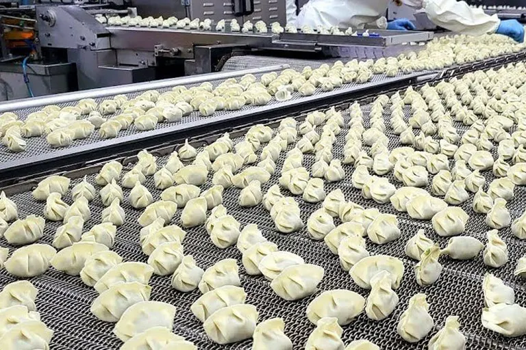 Multiple dumpling and gyoza forms arranged for product comparison