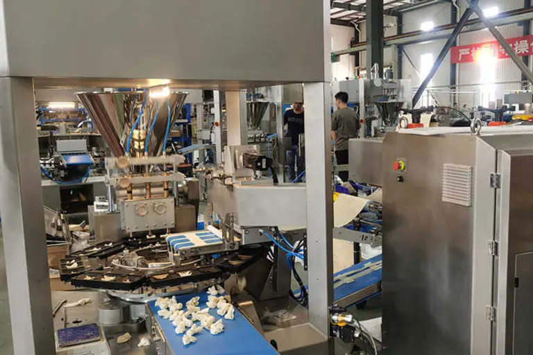 Wonton and shumai equipment operating in a factory production setting