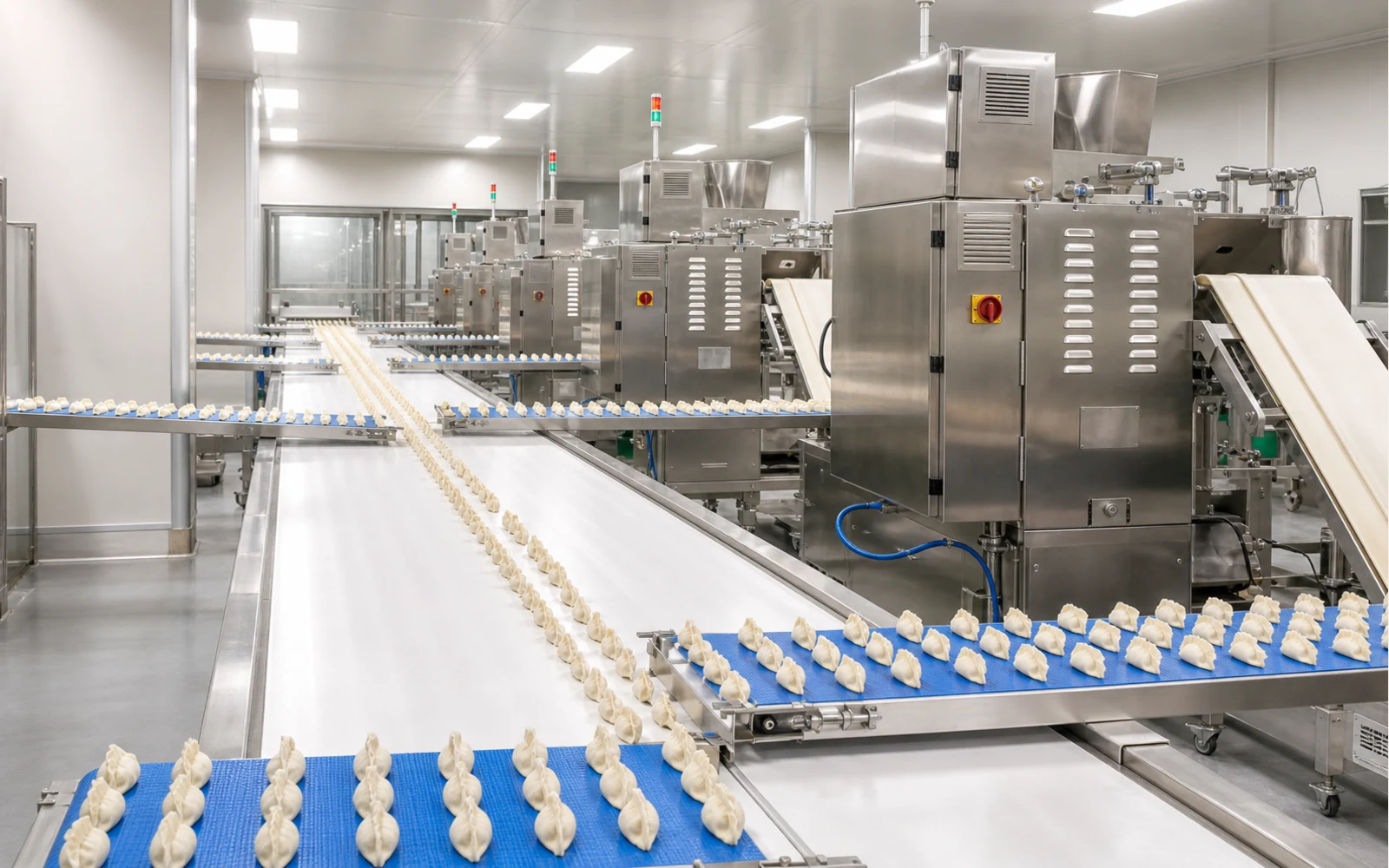 Turnkey frozen dumpling production line