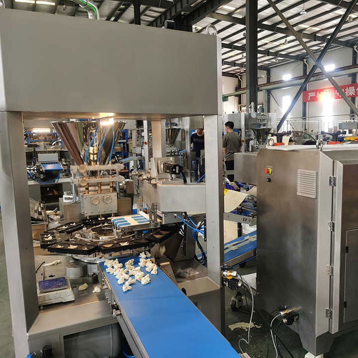 Automatic Wonton & Shumai Forming Machine official detail view