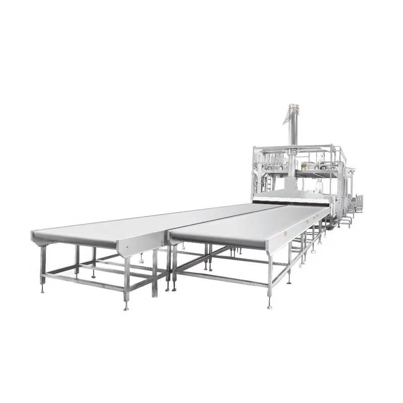 Automatic continuous steaming tunnel for dumplings and noodles