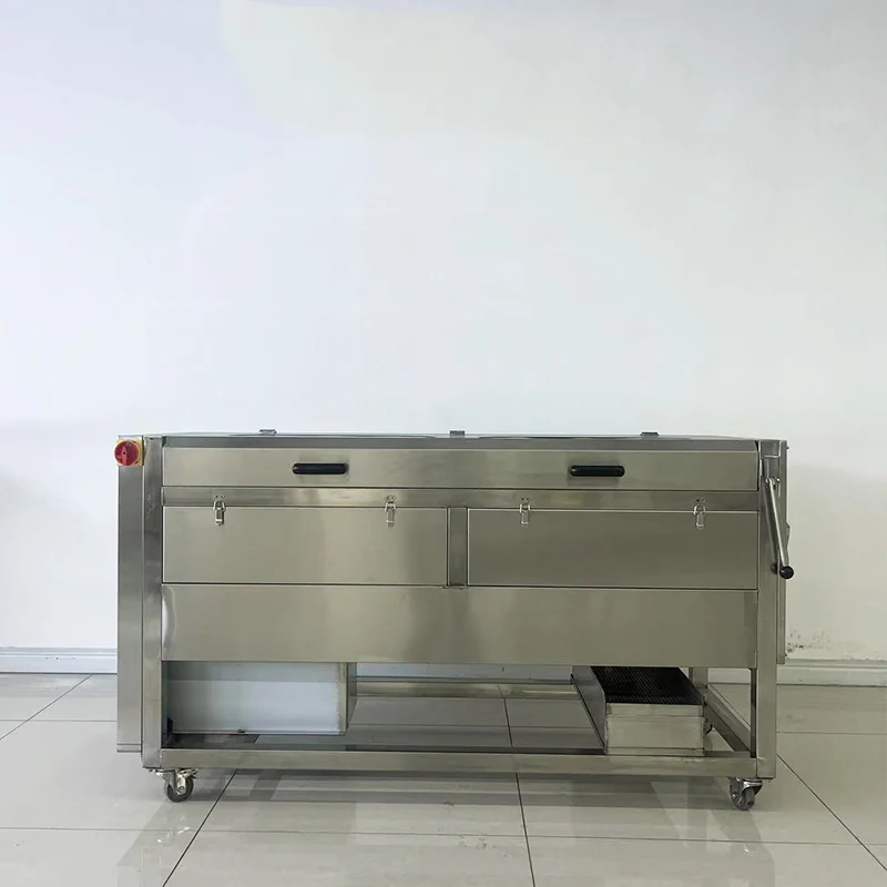 Front view of JX-series brush washing and peeling equipment