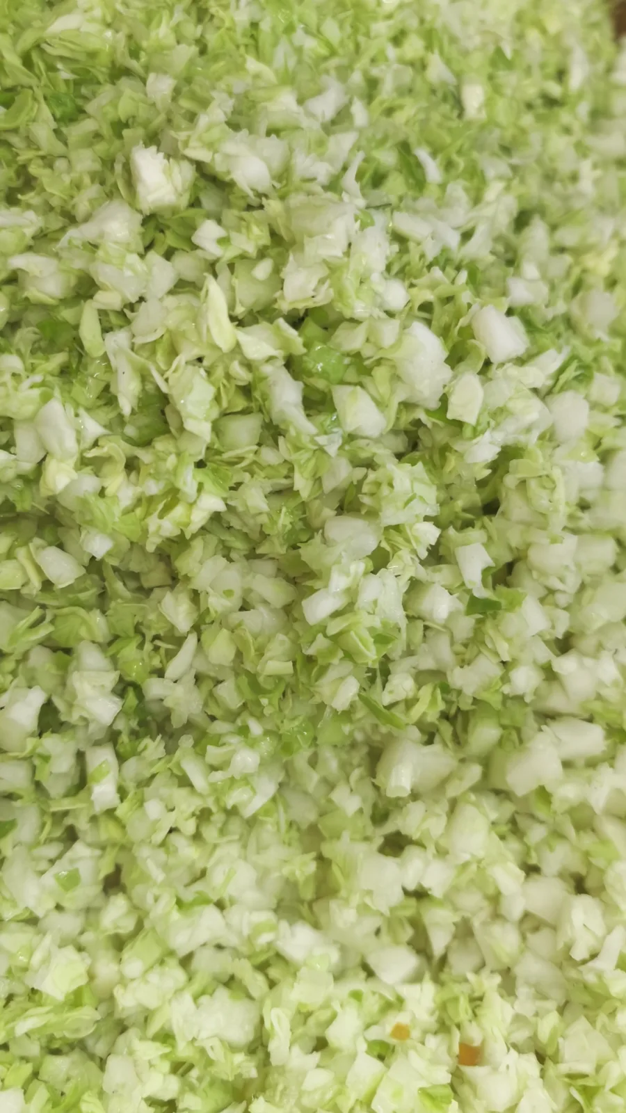 Cabbage pieces produced in the current XQD-02II factory test