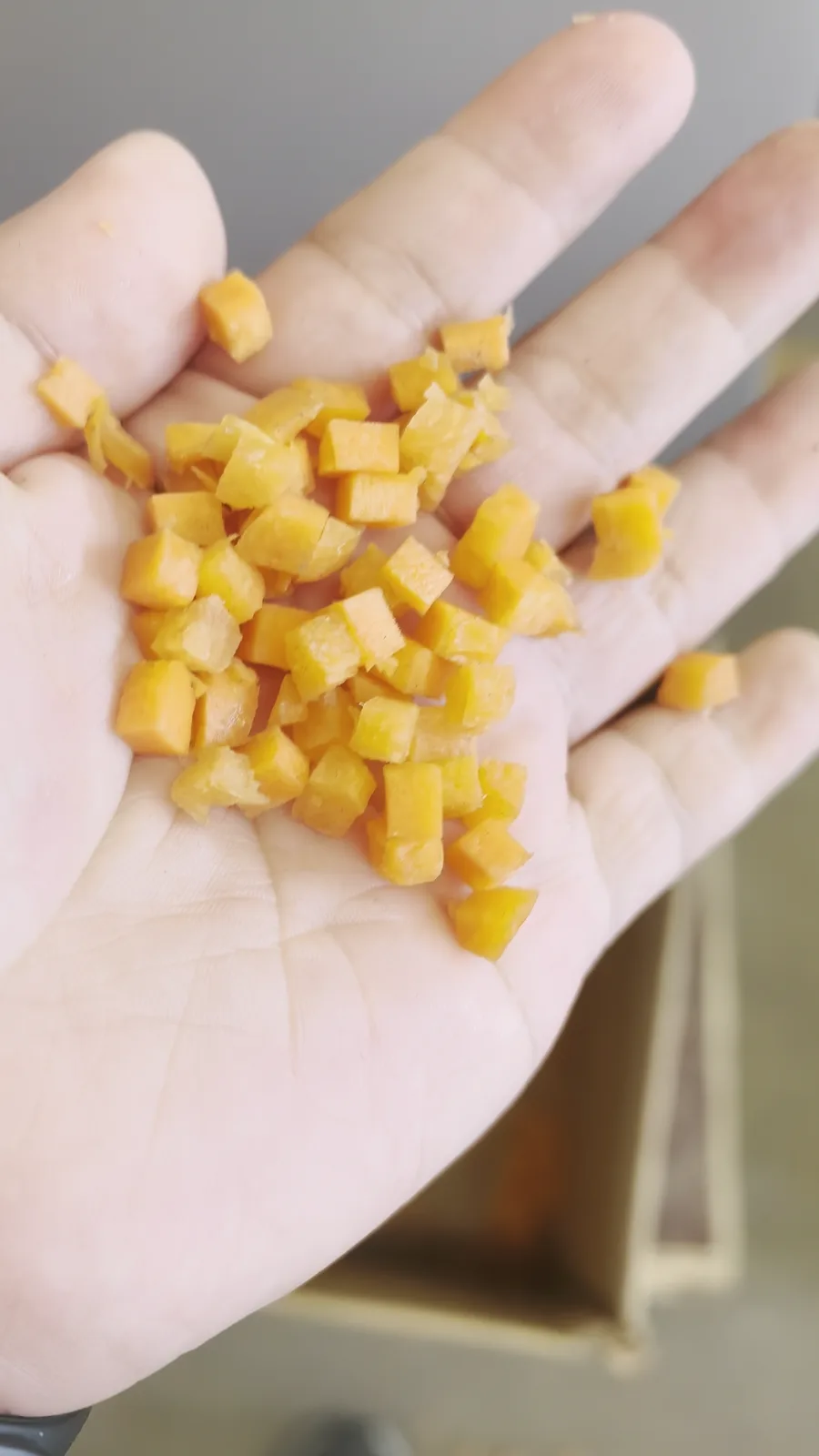 Carrot pieces produced in the current XQD-02II factory test