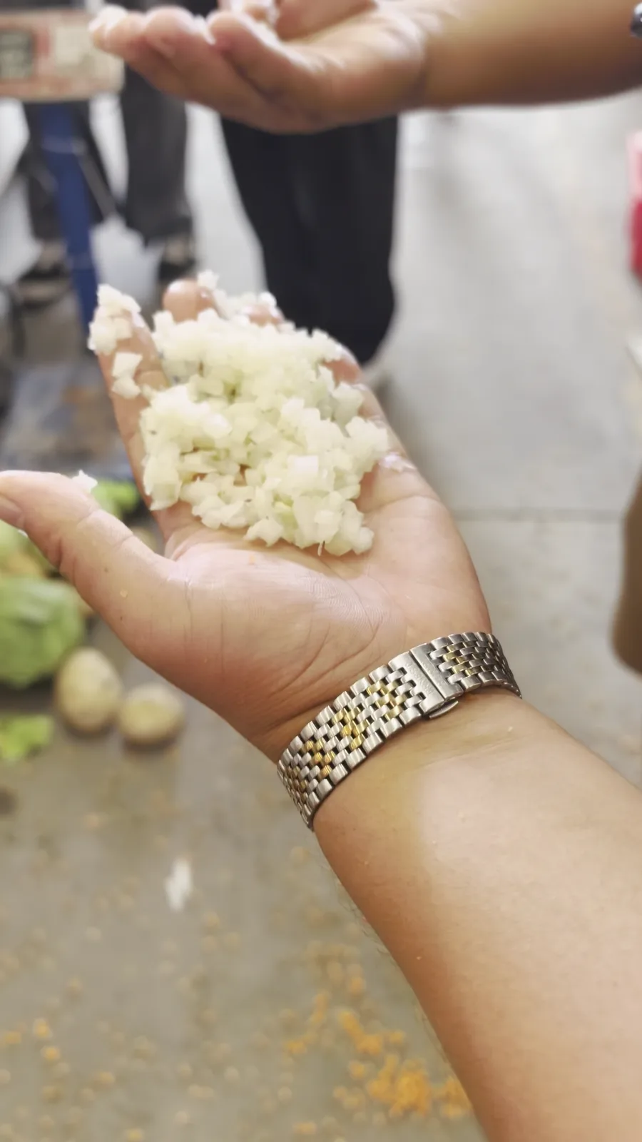 Onion pieces produced in the current XQD-02II factory test