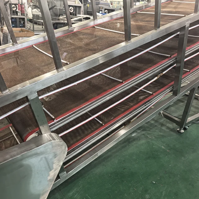 Three stacked mesh belts — original three-tier cooling conveyor photograph