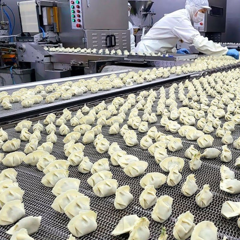HELPER automatic dumpling forming machines in a factory