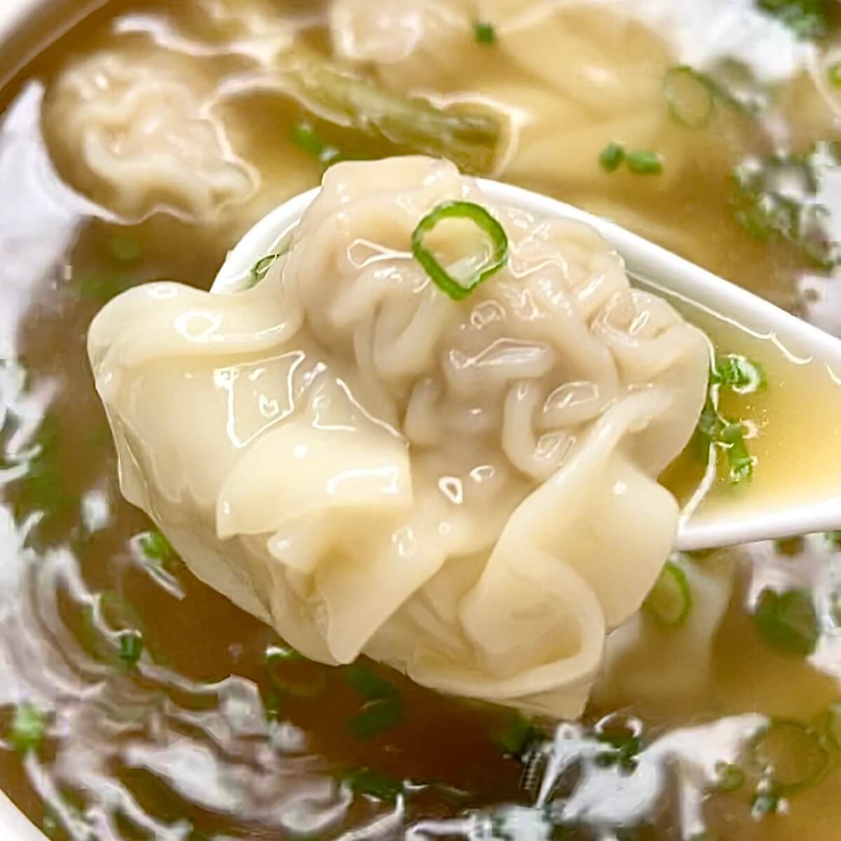 Wonton wrapper application