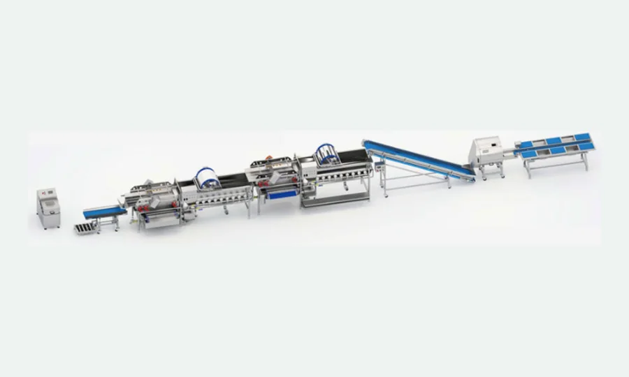 HELPER automatic vegetable washing line